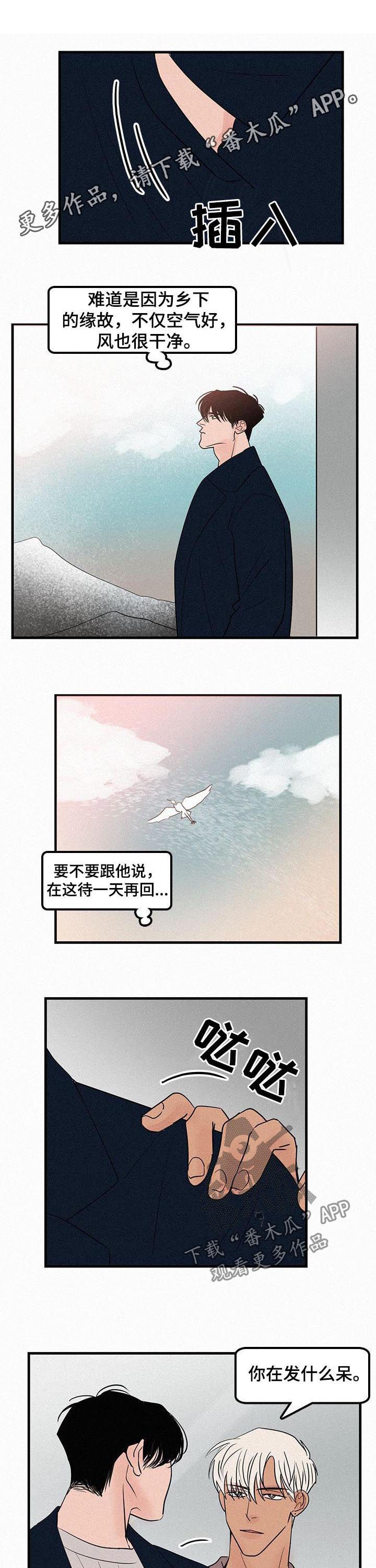 第64章：一把火0