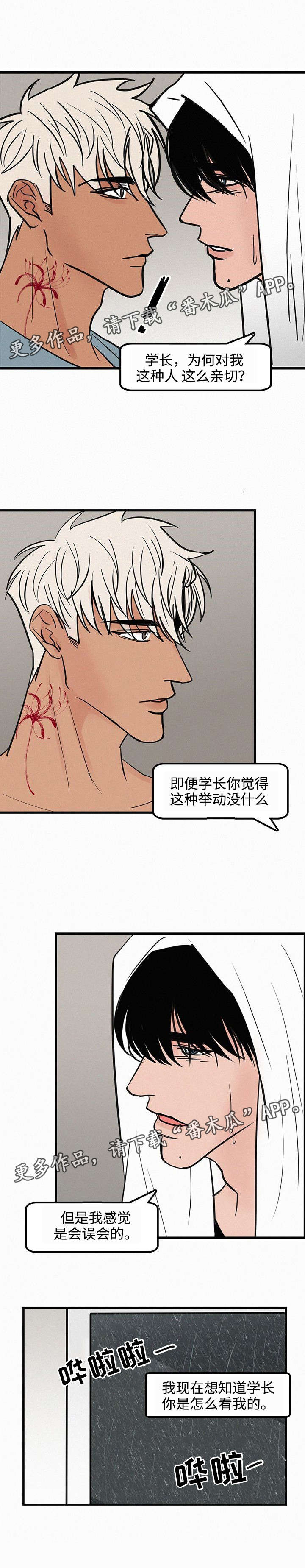 第29章：心理阴影5