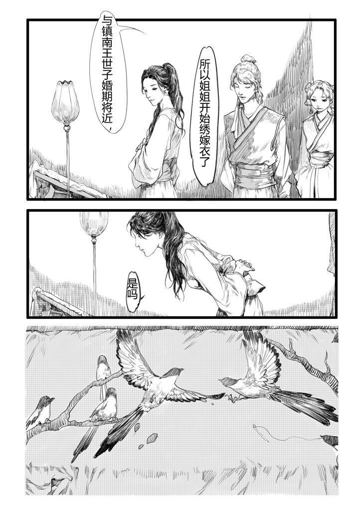 第20章：2