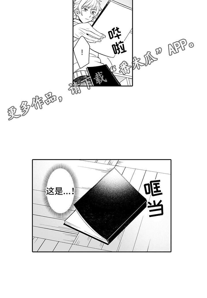 第17章：确认了6