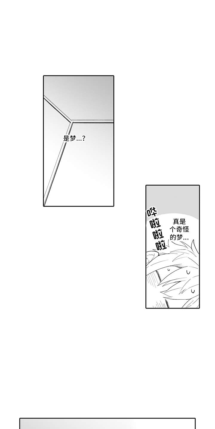 第3章：做梦5