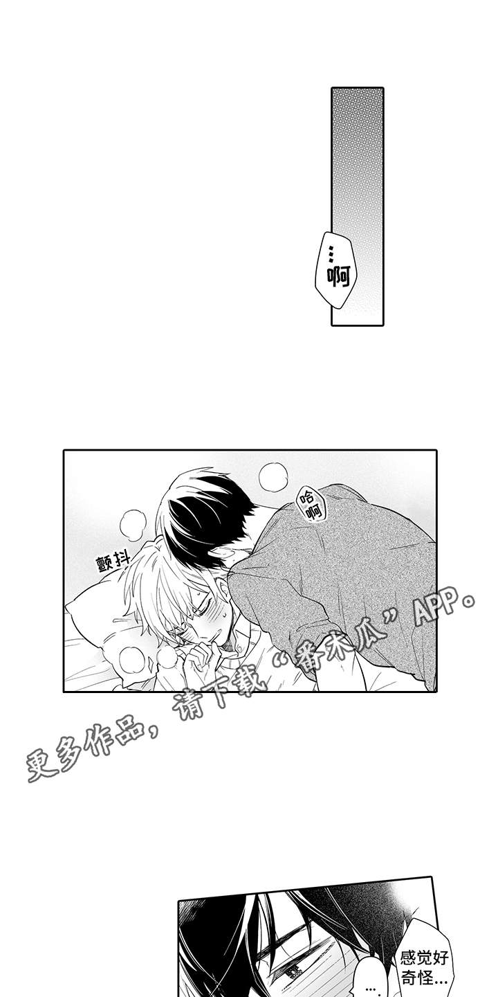第19章：表白11