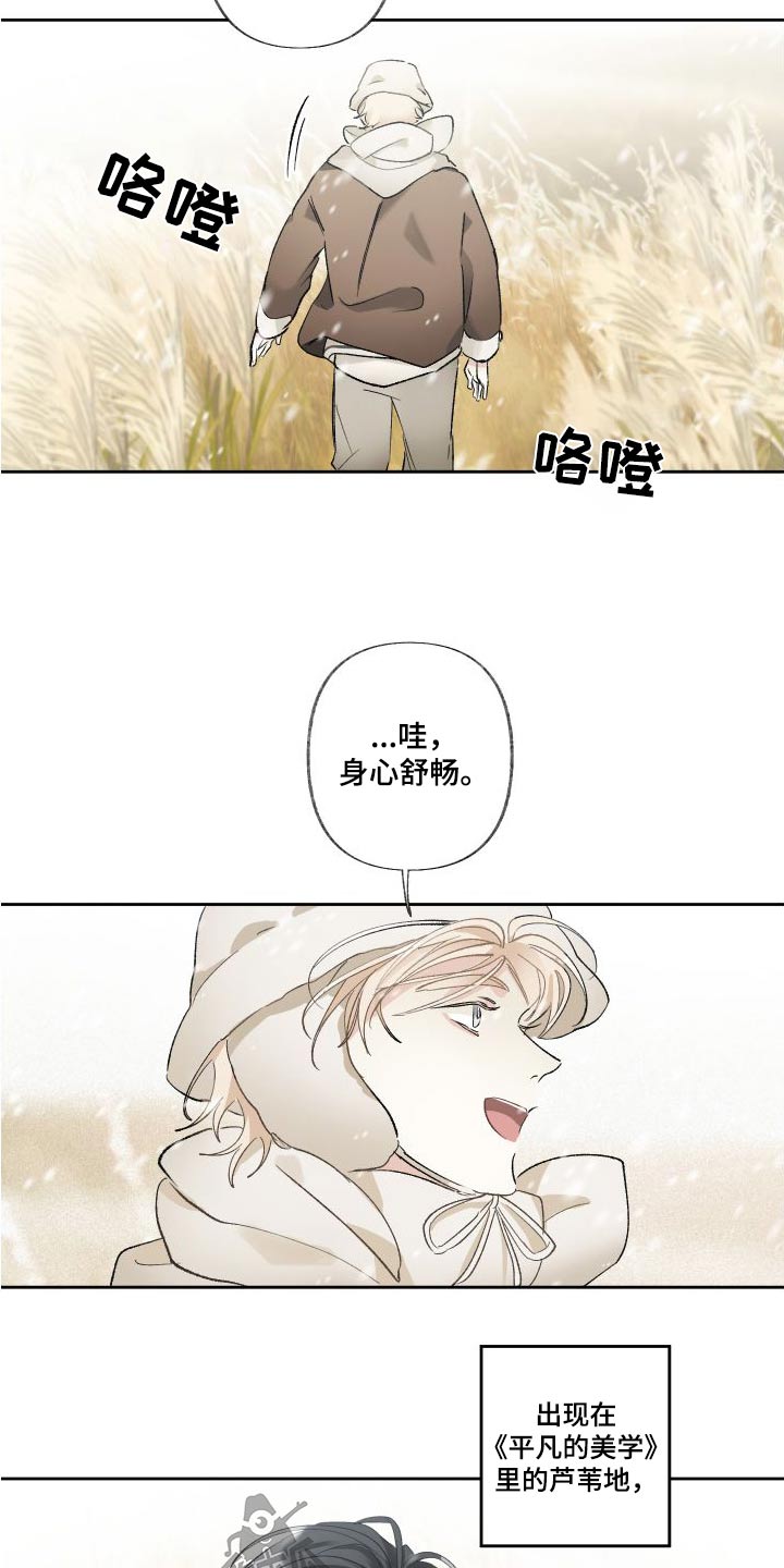 第55章：芦苇地9