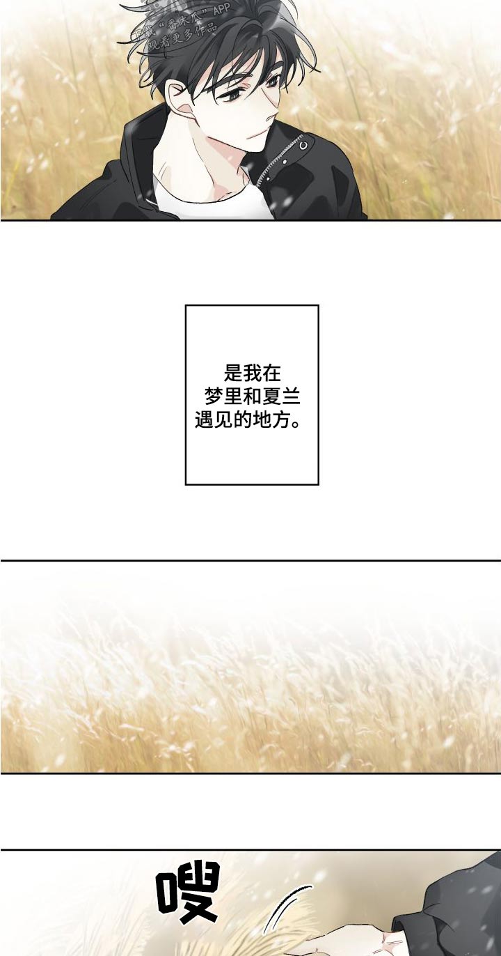 第55章：芦苇地10