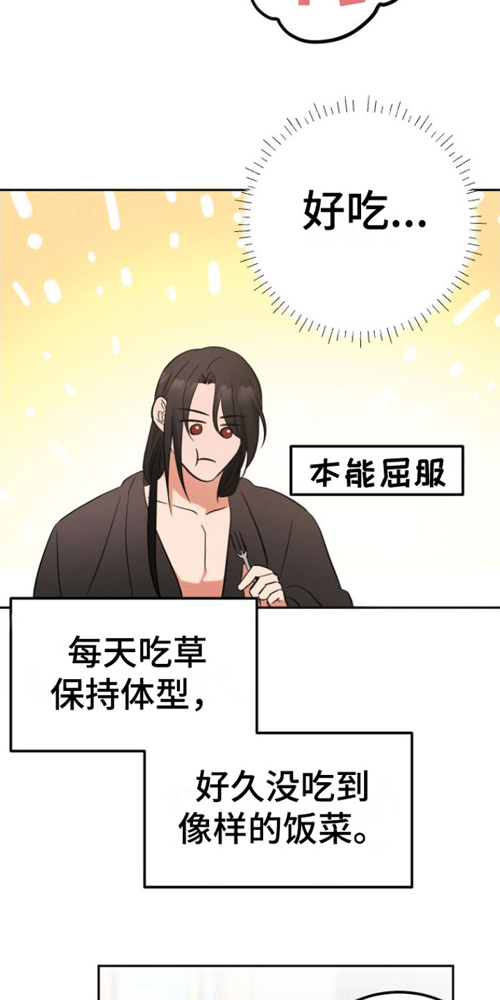 第3章：晕倒13
