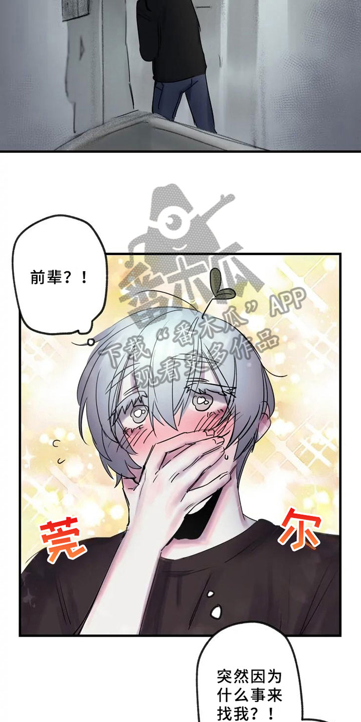 第13章：一决胜负2