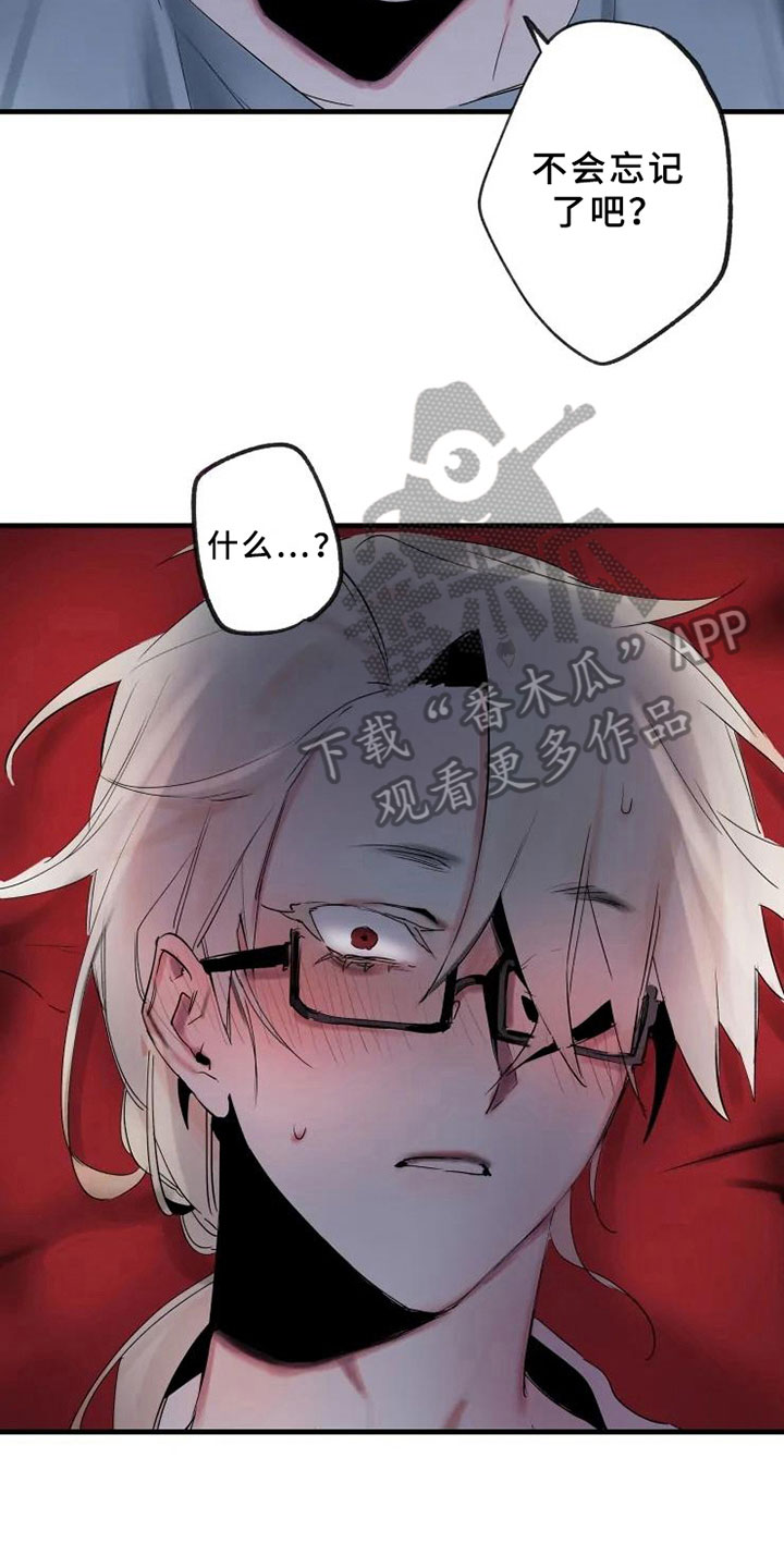 第6章：初识2