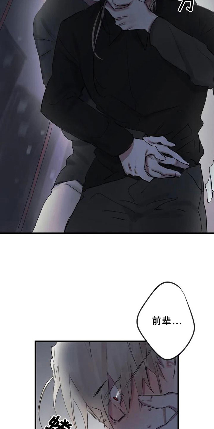 第4章：发觉3