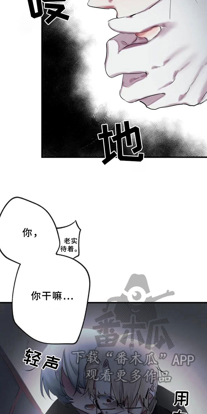 第4章：发觉2
