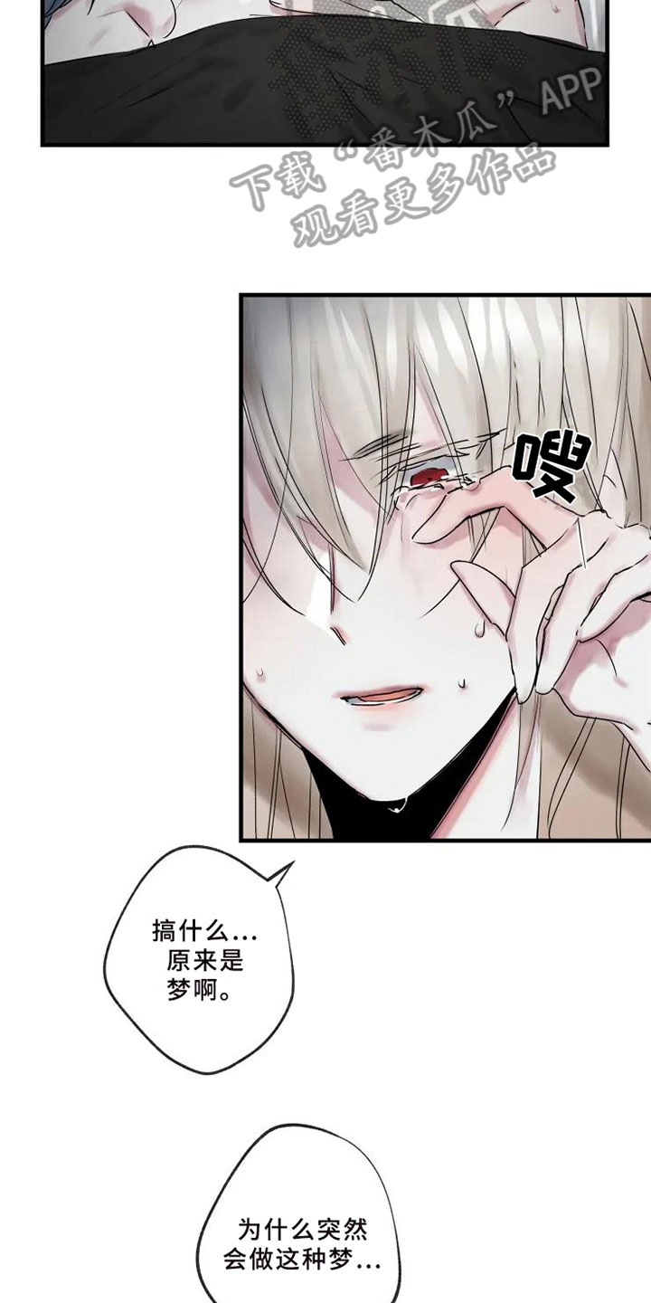 第6章：初识12