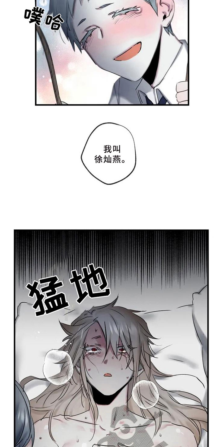 第6章：初识11