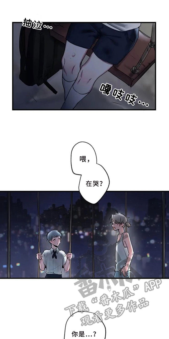 第6章：初识4