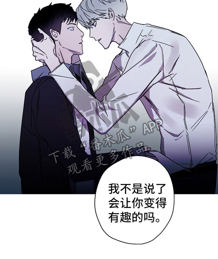 第18章：说正事13