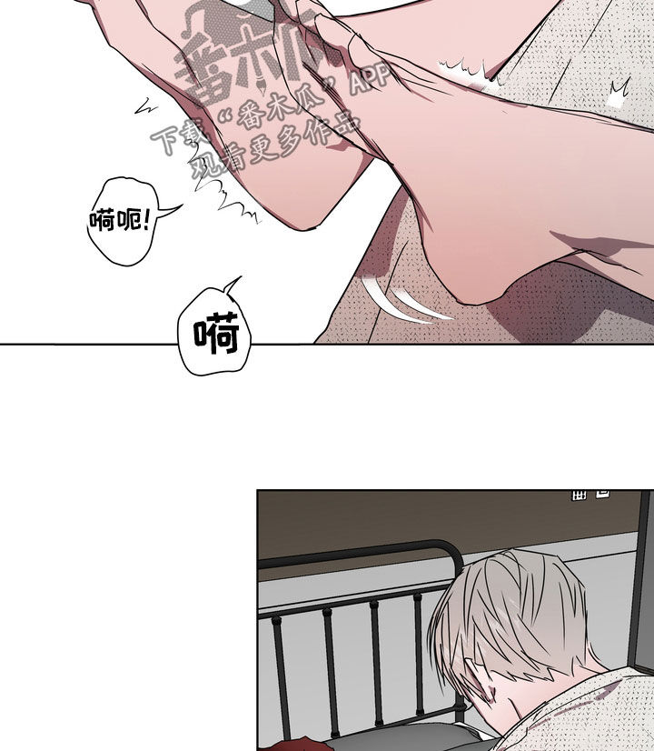 第41章：天生的11