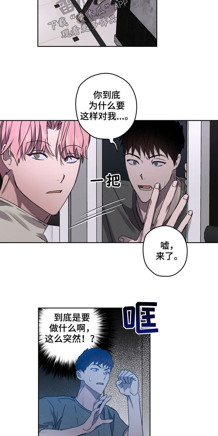 第49章：最好的时机2