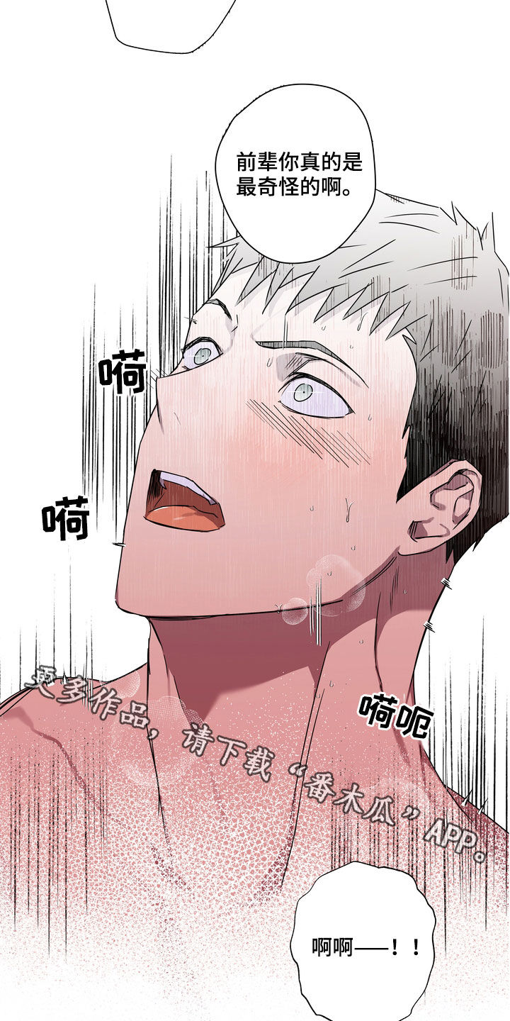 第40章：拒绝不了18