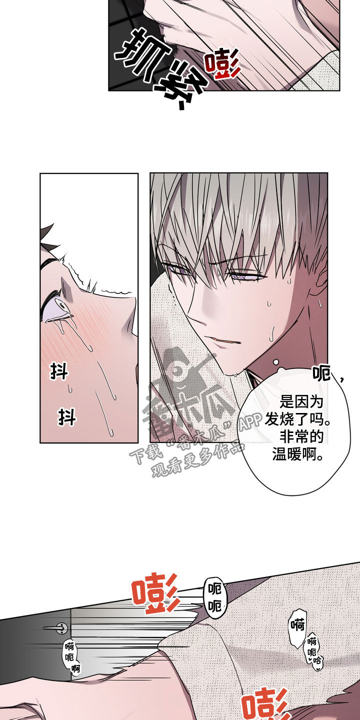 第41章：天生的7