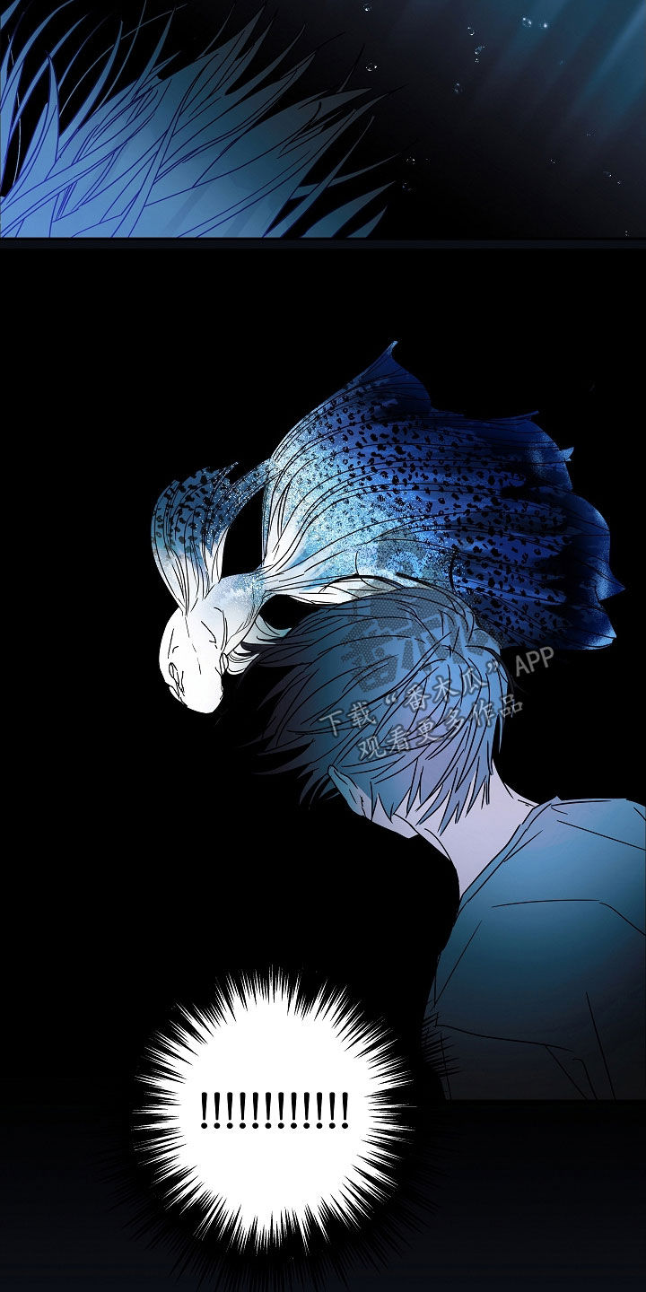 第23章：救援9