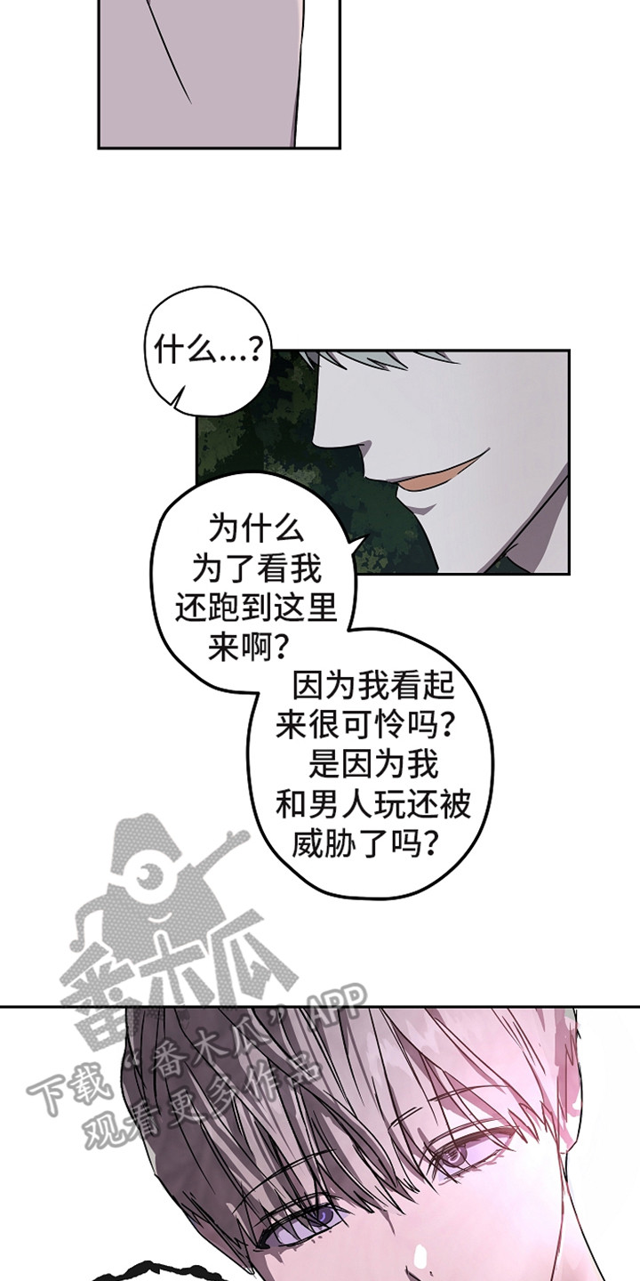 第12章：不可理喻13