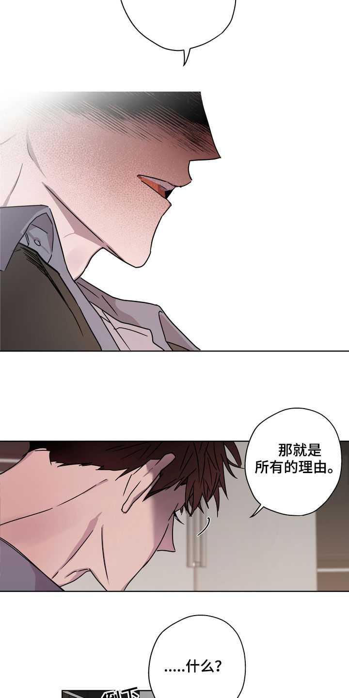 第25章：理由17