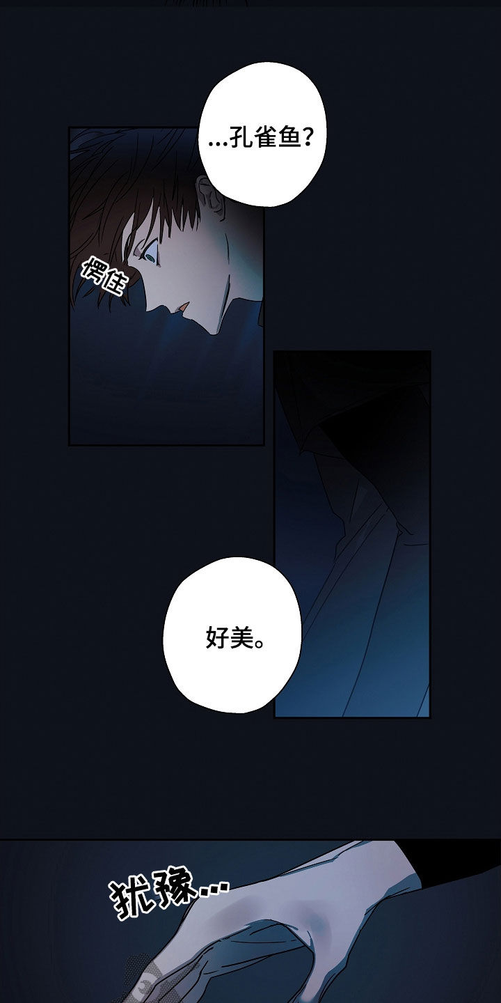 第23章：救援10