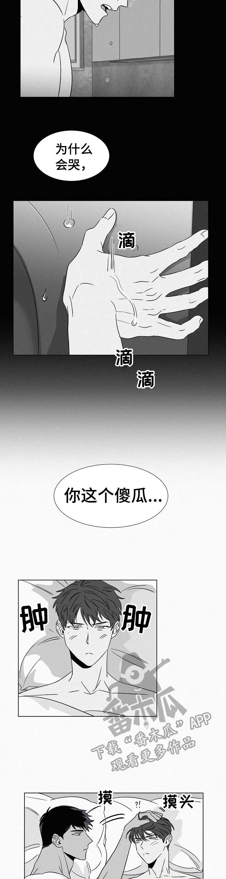 第38章：哭了8