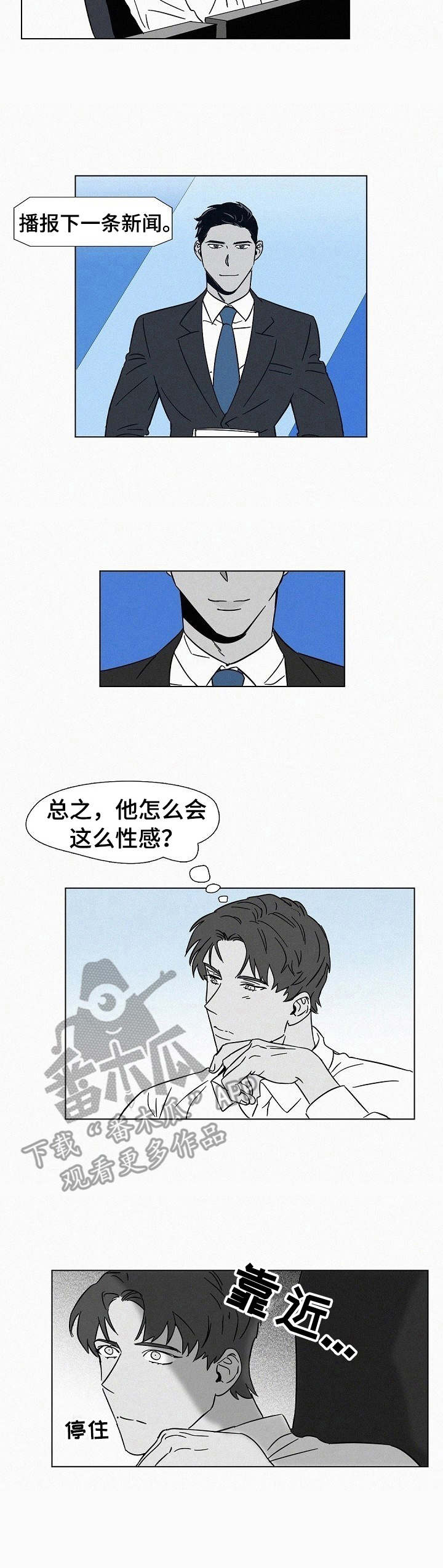 第13章： 偏见8