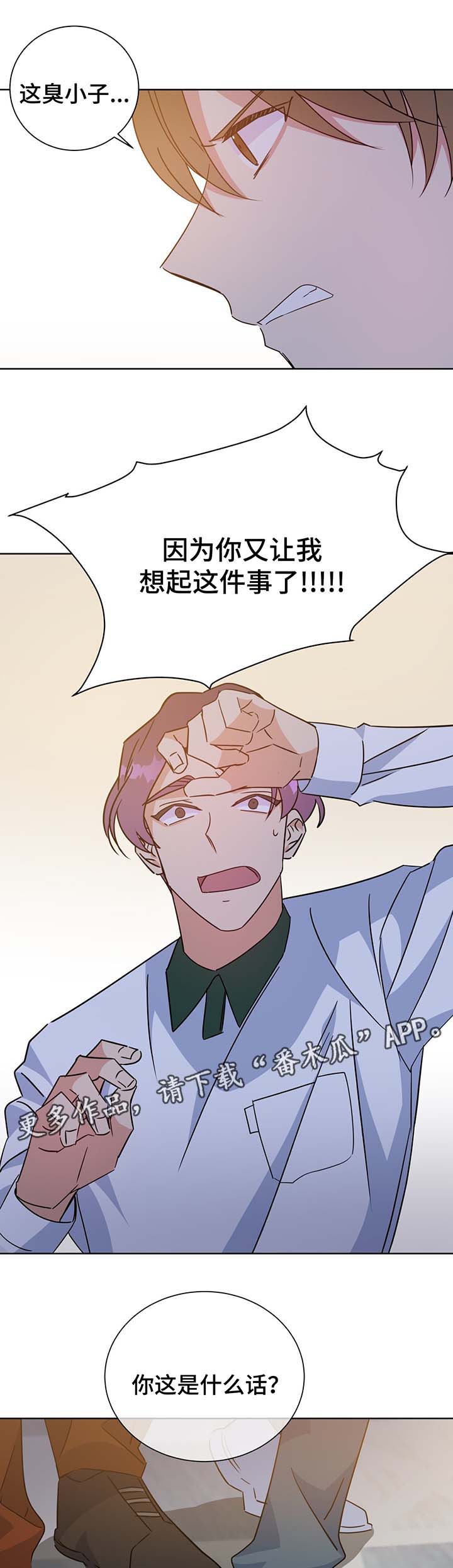 第63章：结婚的消息11
