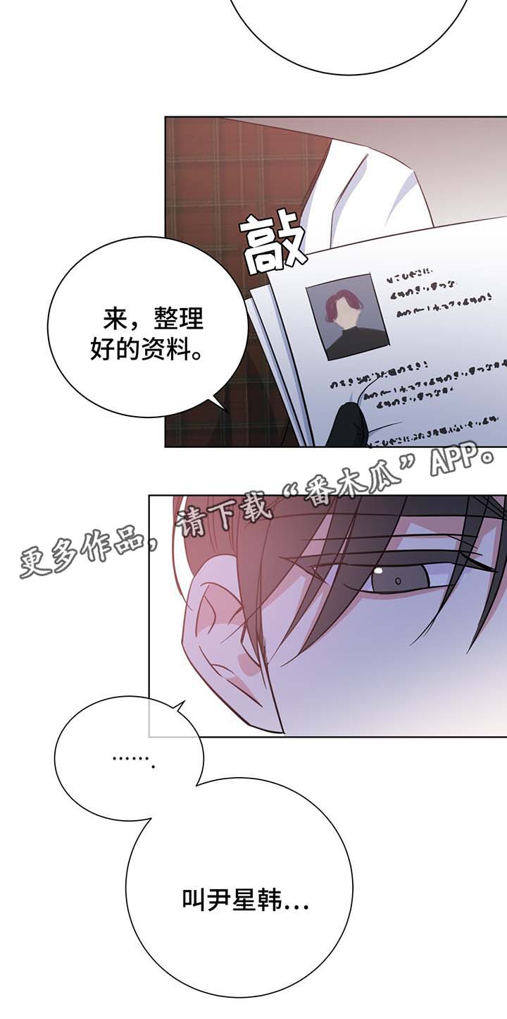 第54章：调查11
