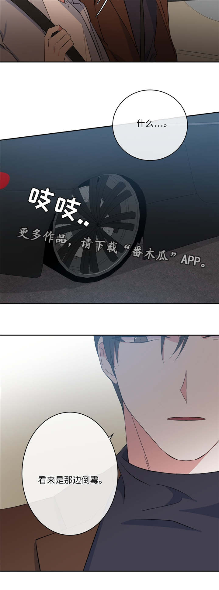 第18章：正常反应5