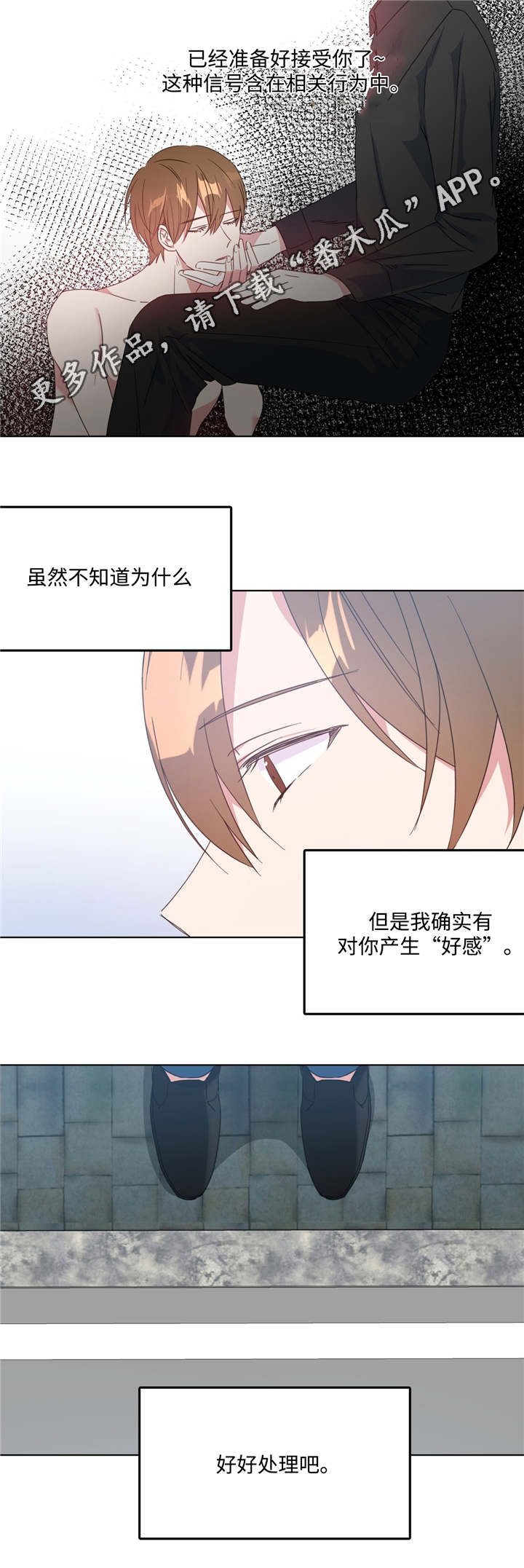 第11章：何去何从13