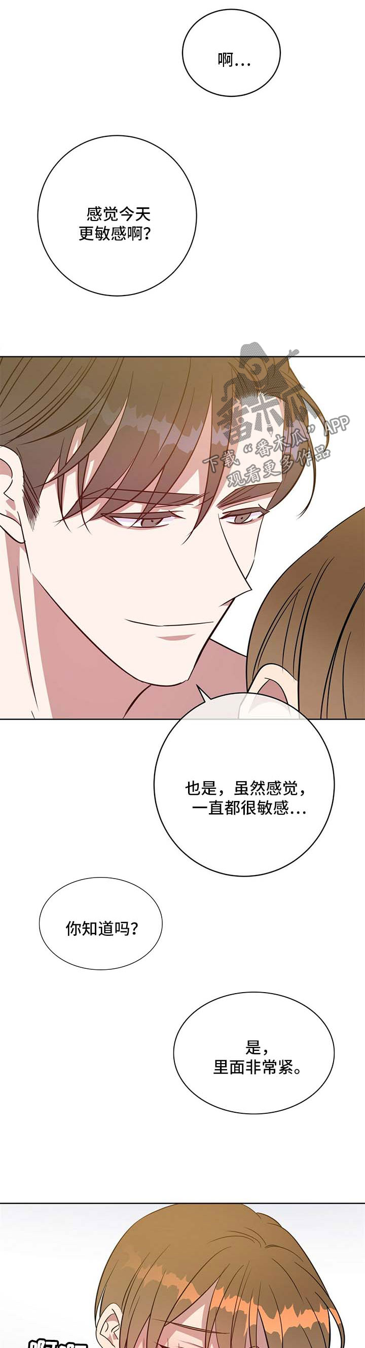 第98章：我爱你5