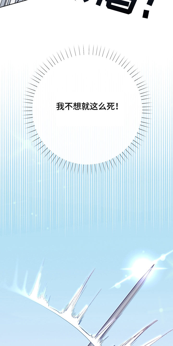 第43章：最大目标13