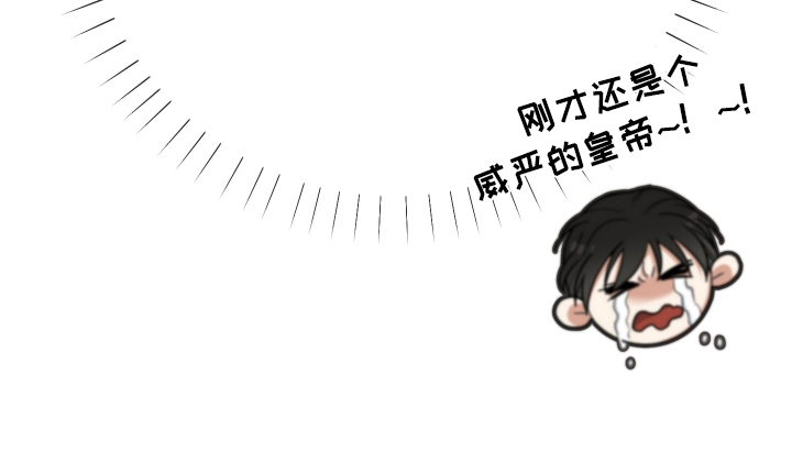第18章：反转27