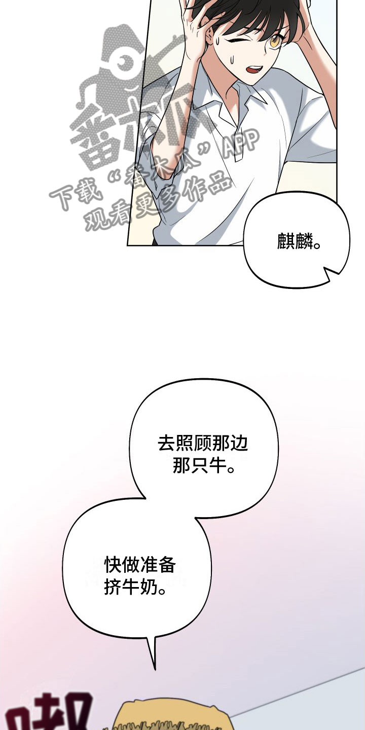 第6章：换一个6