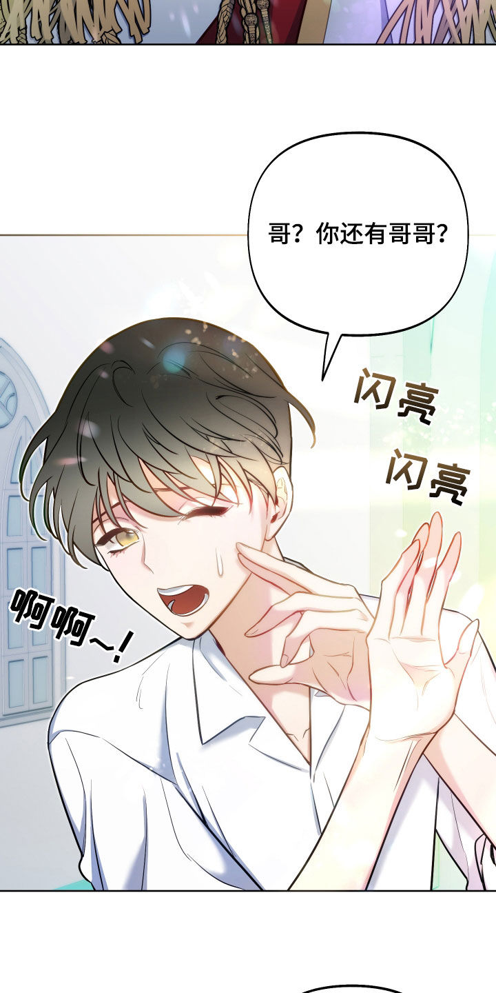 第41章：半价24
