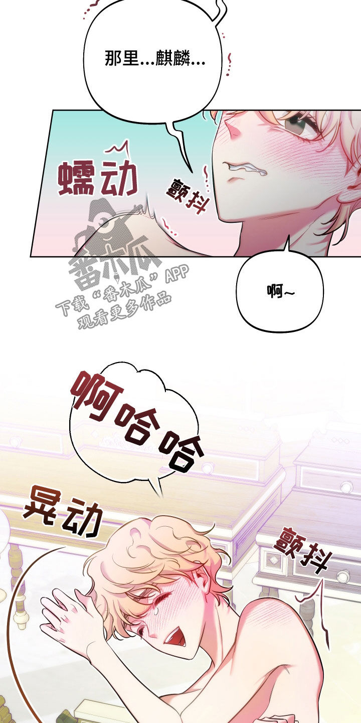 第37章：观察19