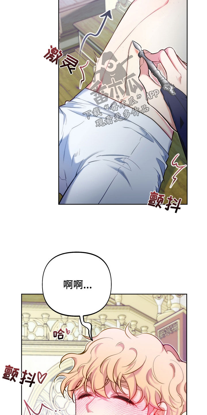 第37章：观察17