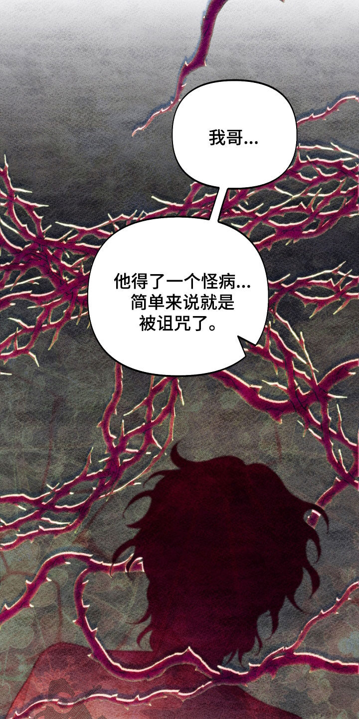 第41章：半价26