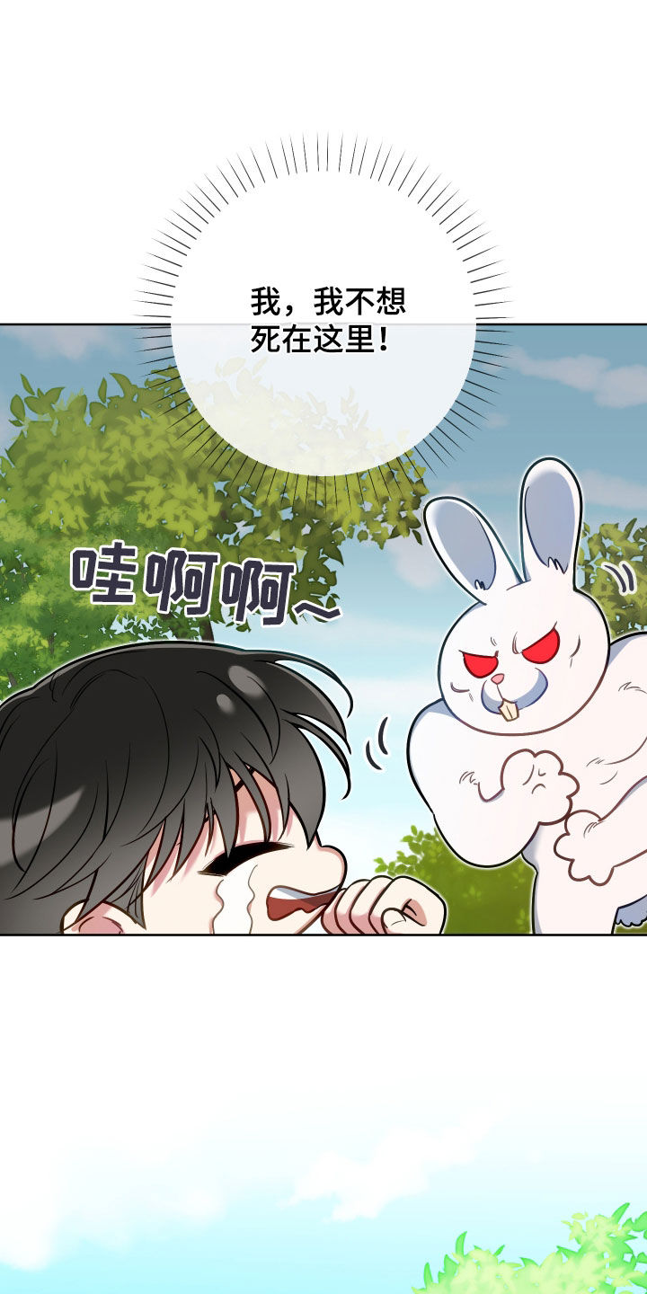 第43章：最大目标7