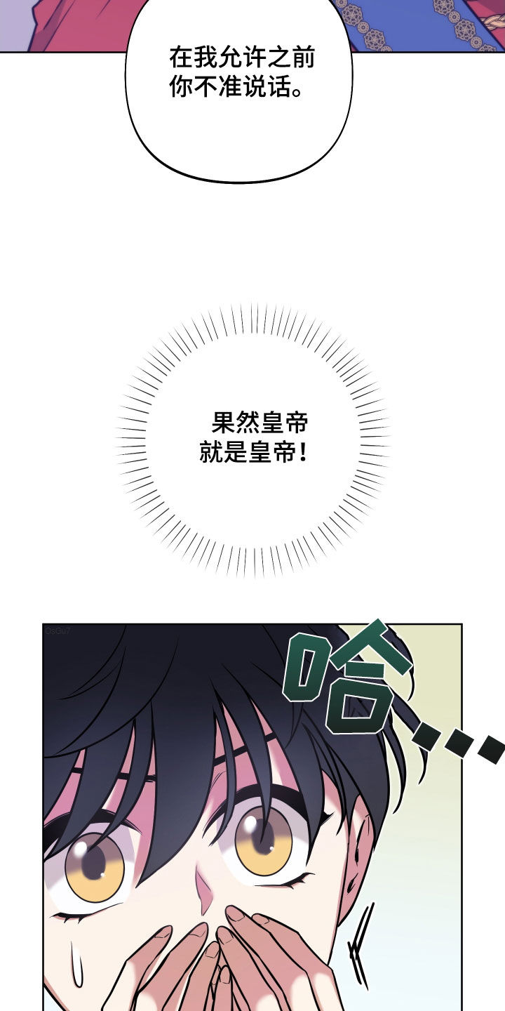 第18章：反转21