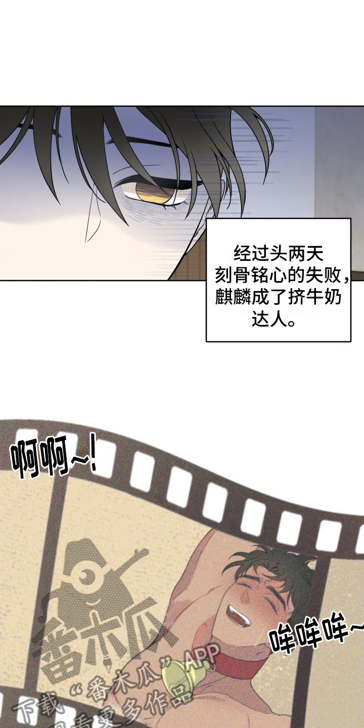 第6章：换一个20