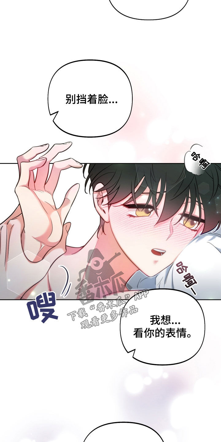 第28章：独特13