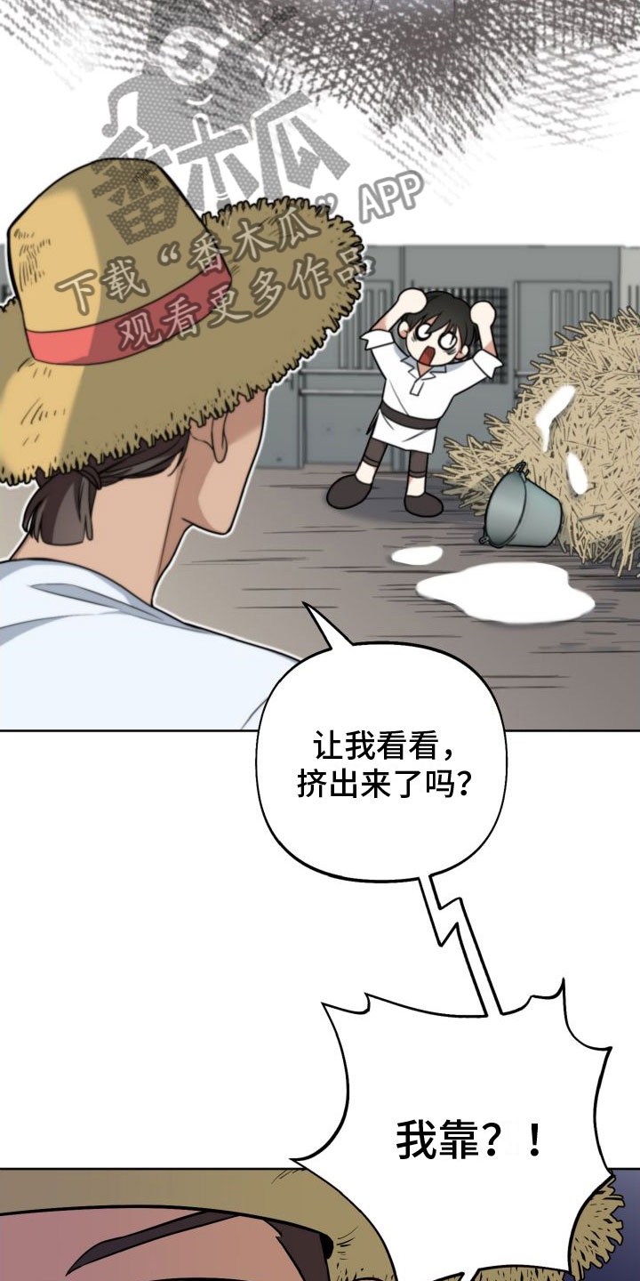 第5章：再来一次20