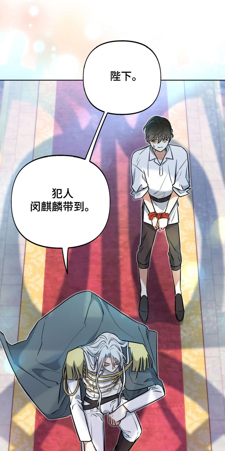 第18章：反转15