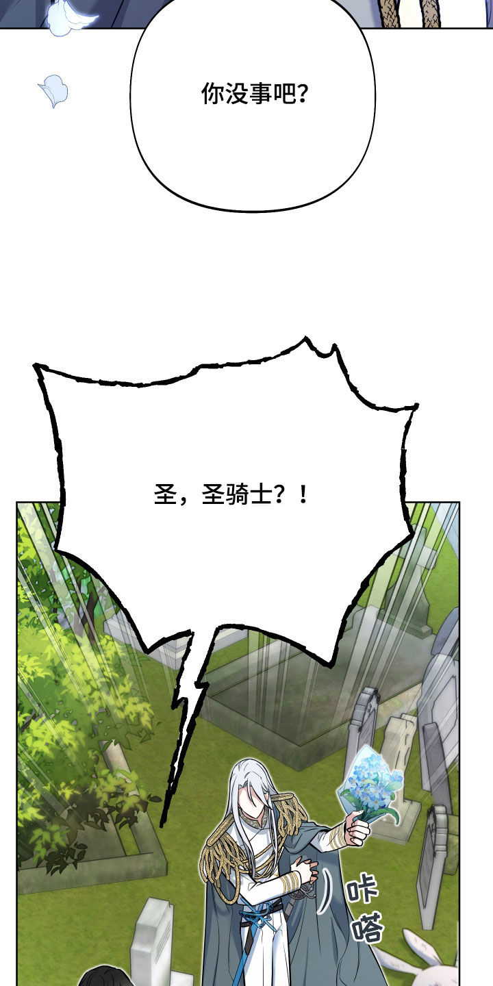 第43章：最大目标19
