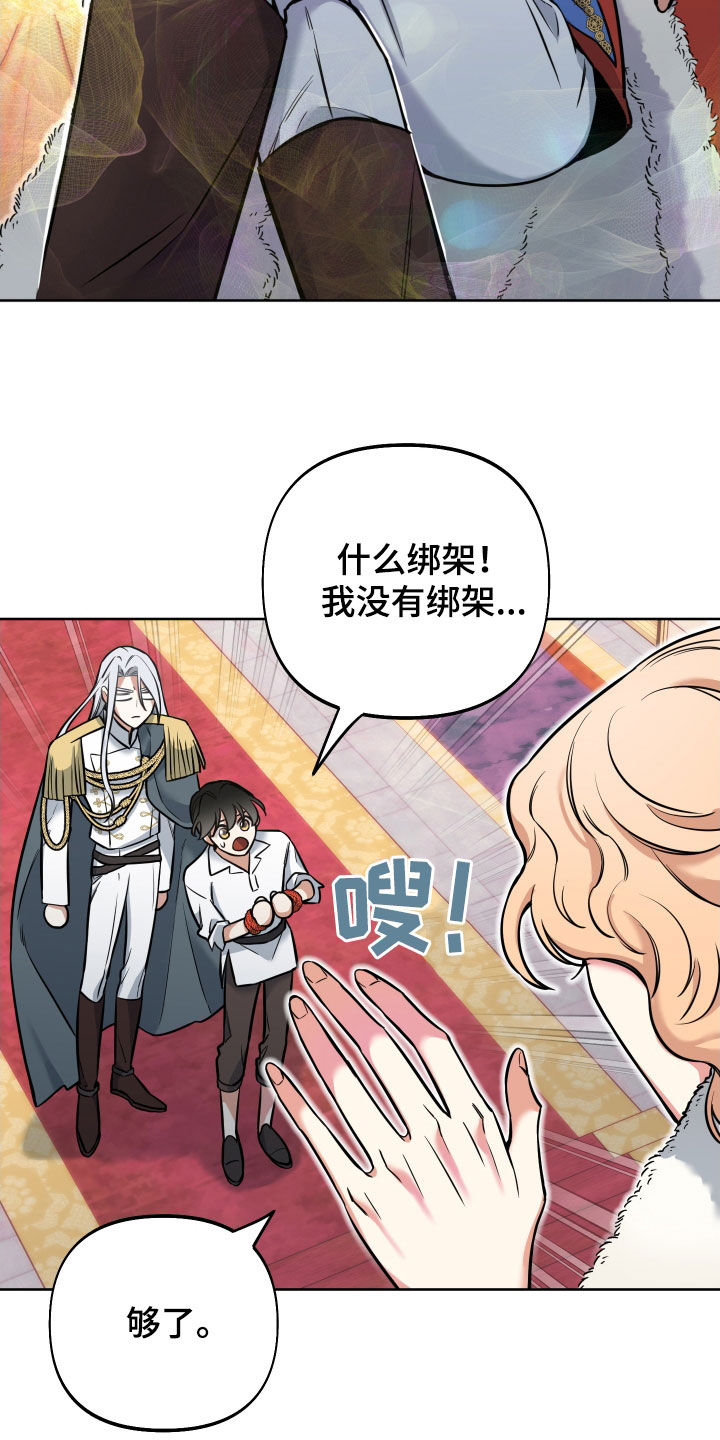 第18章：反转19