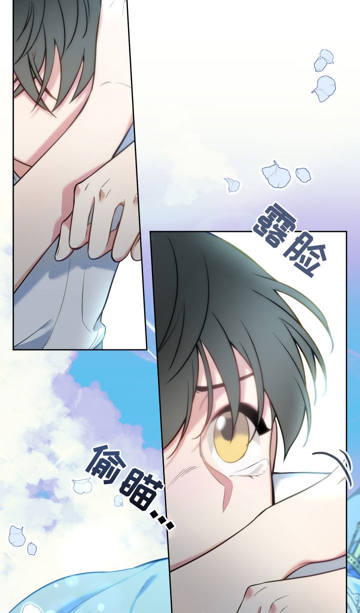 第43章：最大目标17