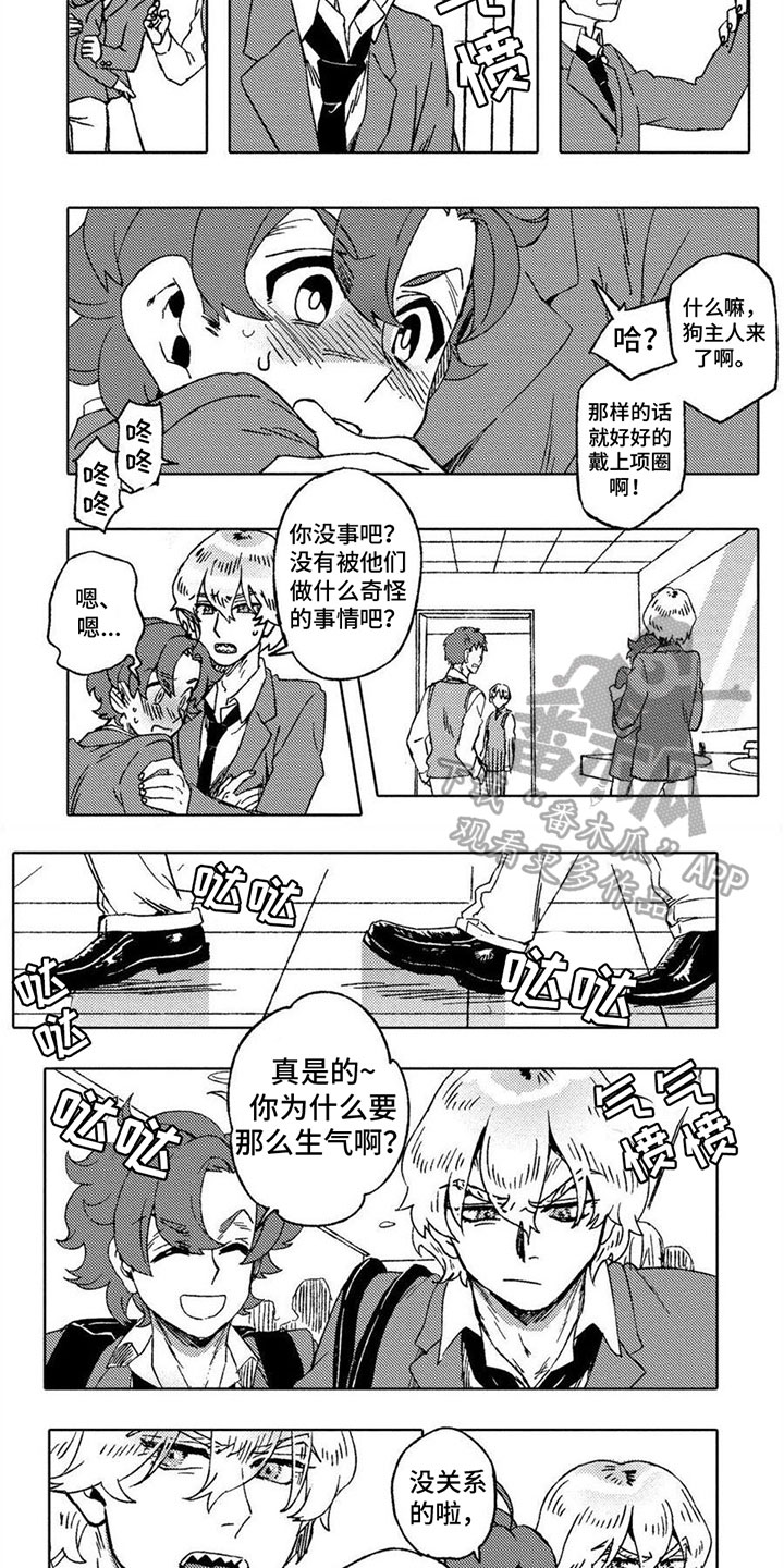 第15章：保护3