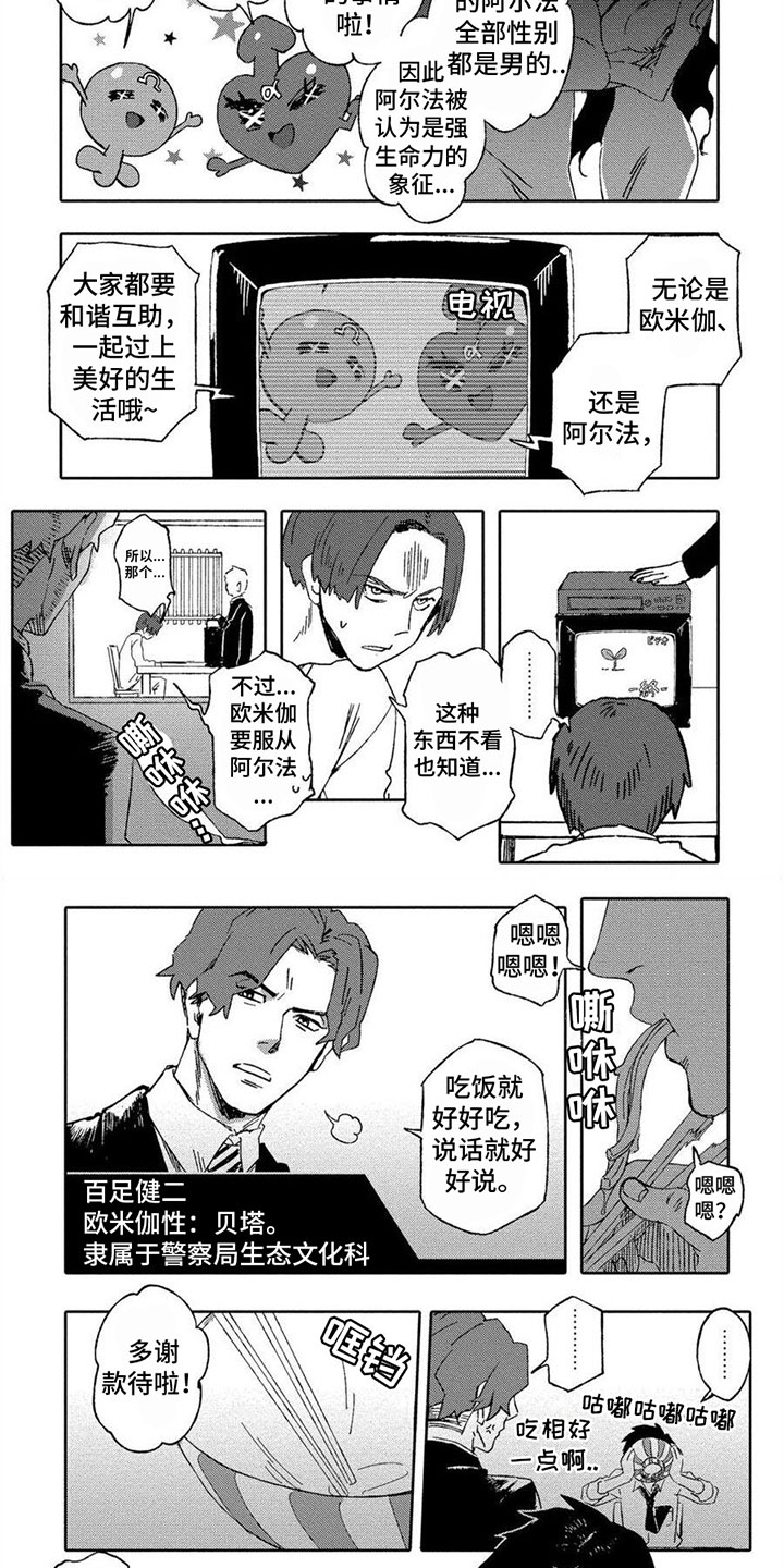 第1章：工作3